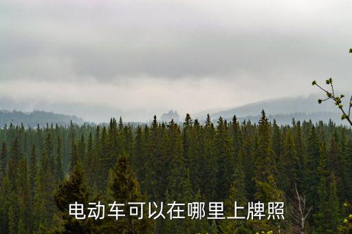 電動車可以在哪里上牌照