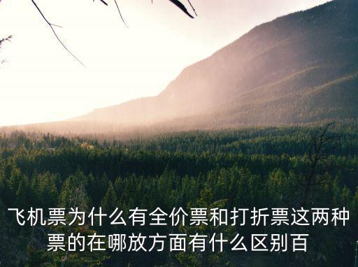 飛機票為什么有全價票和打折票這兩種票的在哪放方面有什么區別百