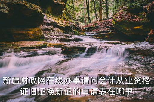 新疆財政網在線辦事請問會計從業資格證舊證換新證的申請表在哪里