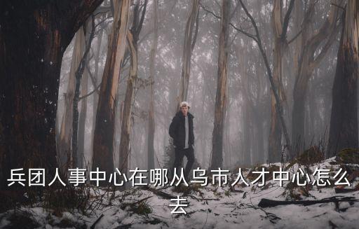 兵團人事中心在哪從烏市人才中心怎么去