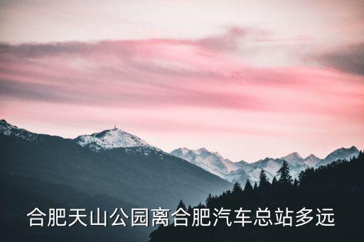 天山公園，合肥天山公園離合肥汽車總站多遠