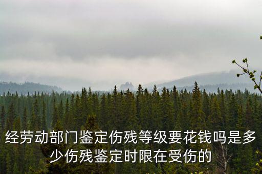 經勞動部門鑒定傷殘等級要花錢嗎是多少傷殘鑒定時限在受傷的
