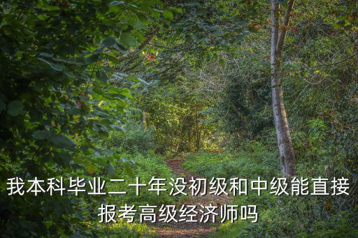 我本科畢業二十年沒初級和中級能直接報考高級經濟師嗎