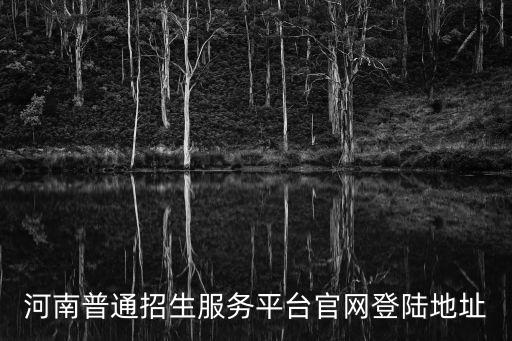 河南普通招生服務(wù)平臺(tái)官網(wǎng)登陸地址