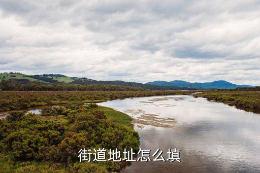 街道地址怎么填