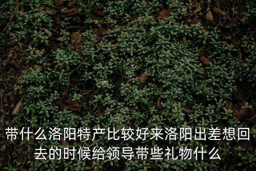 帶什么洛陽特產比較好來洛陽出差想回去的時候給領導帶些禮物什么