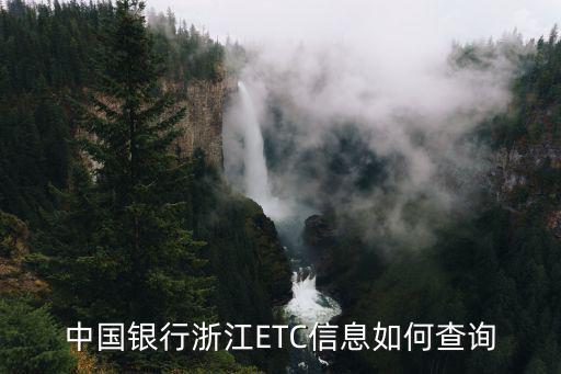 中國銀行浙江ETC信息如何查詢