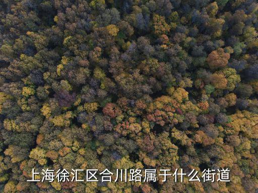 合川路，上海徐匯區(qū)合川路屬于什么街道