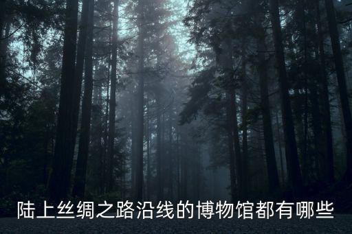 陸上絲綢之路沿線的博物館都有哪些