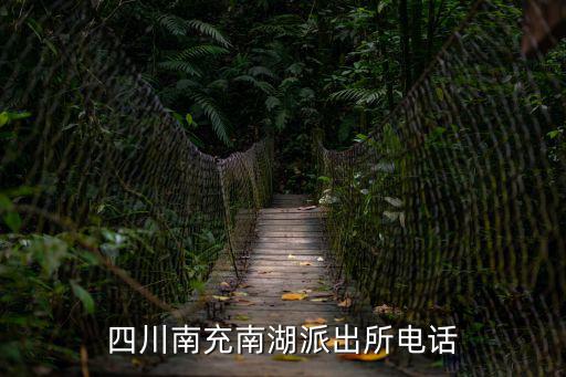四川南充南湖派出所電話