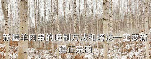 新疆羊肉串的腌制方法和烤法一定要新疆正宗的