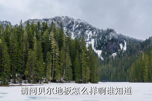 請問貝爾地板怎么樣啊誰知道