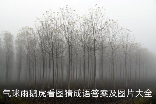 氣球雨，氣球雨鵝虎看圖猜成語答案及圖片大全