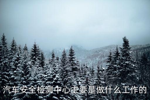車輛檢測中心，汽車安全檢測中心主要是做什么工作的