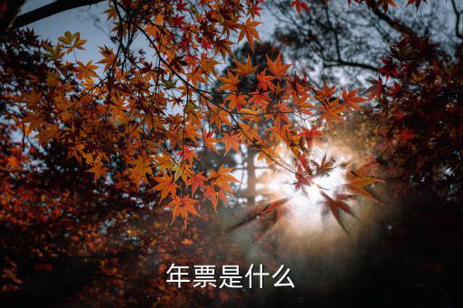 年票，昆明公園年票