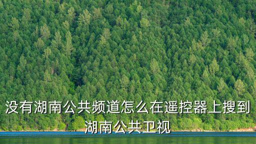 沒有湖南公共頻道怎么在遙控器上搜到湖南公共衛視