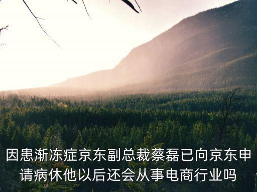 京東最新消息，京東吞并易迅成定局