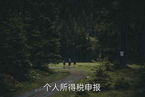 個稅在哪里申報，個人所得稅申報