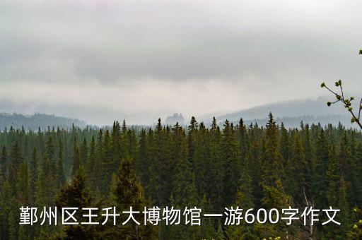 鄞州區王升大博物館一游600字作文