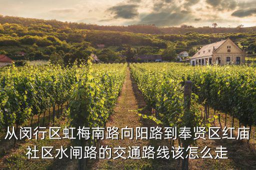 從閔行區虹梅南路向陽路到奉賢區紅廟社區水閘路的交通路線該怎么走
