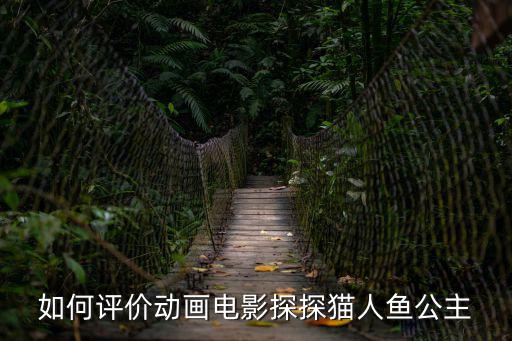 如何評價動畫電影探探貓人魚公主