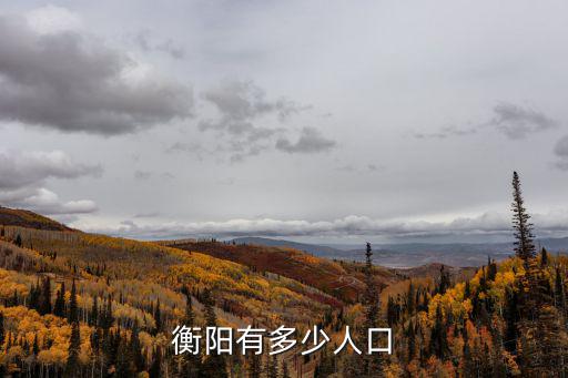 衡陽有多少人口