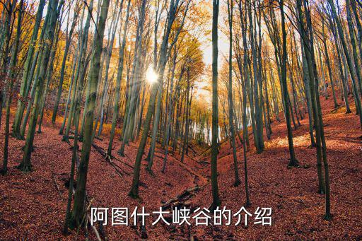 阿圖什大峽谷的介紹