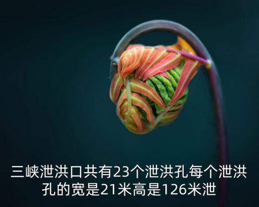 三峽泄洪口共有23個泄洪孔每個泄洪孔的寬是21米高是126米泄
