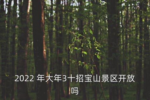2022 年大年3十招寶山景區開放嗎
