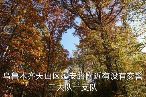 烏魯木齊天山區延安路附近有沒有交警二大隊一支隊
