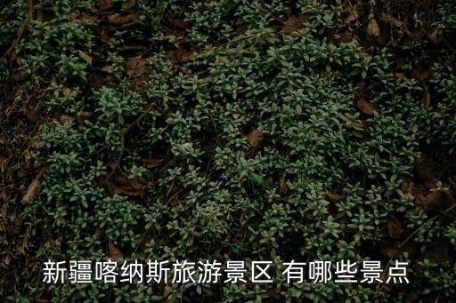 新疆喀納斯旅游景區 有哪些景點