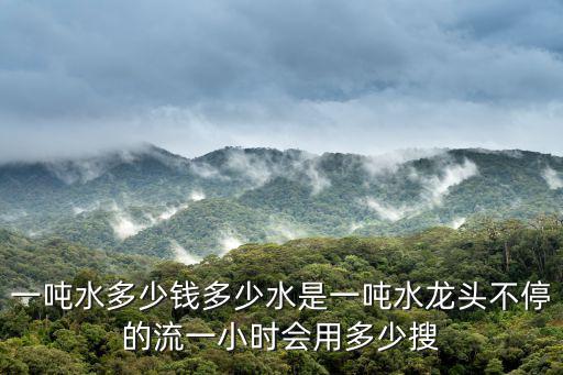 一噸水多少錢多少水是一噸水龍頭不停的流一小時會用多少搜
