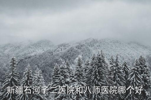 新疆石河子二醫院和八師醫院哪個好