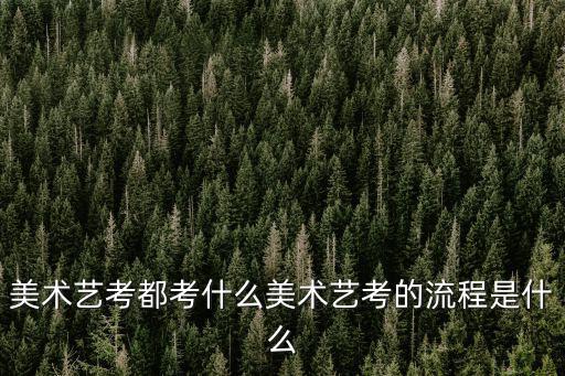 美術(shù)考試，美術(shù)專業(yè)考試