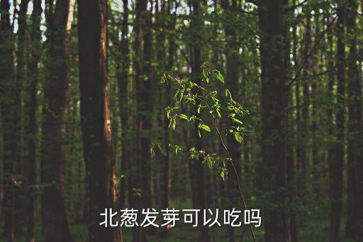 北蔥發芽可以吃嗎