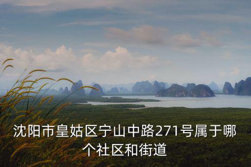 區(qū)寧，沈陽市皇姑區(qū)寧山中路271號(hào)屬于哪個(gè)社區(qū)和街道