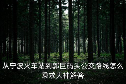 從寧波火車站到郭巨碼頭公交路線怎么乘求大神解答