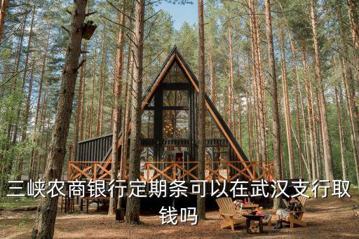 三峽農商銀行定期條可以在武漢支行取錢嗎