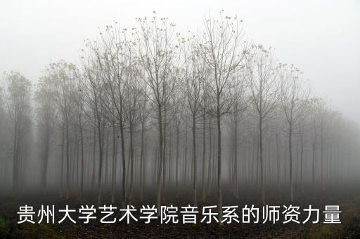 貴州大學(xué)藝術(shù)學(xué)院音樂系的師資力量