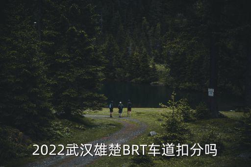 2022武漢雄楚BRT車道扣分嗎
