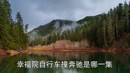 幸福院自行車撞奔馳是哪一集