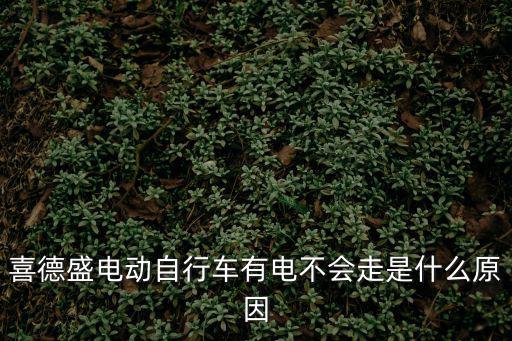 喜德盛電動自行車有電不會走是什么原因