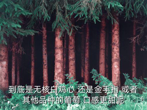 到底是無核白雞心 還是金手指 或者其他品種的葡萄 口感更甜呢