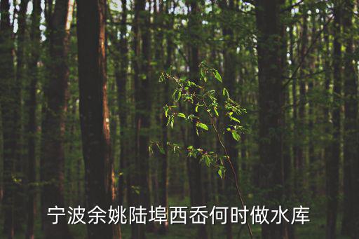 陸埠水庫，余姚陸埠的恒湖嶺水庫在哪哪個(gè)村xiexie