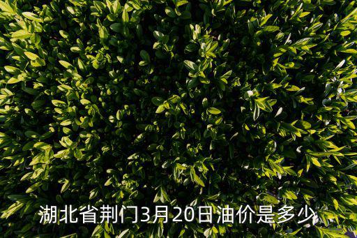 湖北省荊門3月20日油價是多少