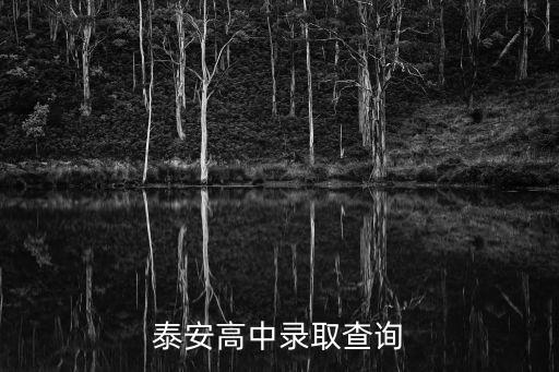 泰安高中錄取查詢