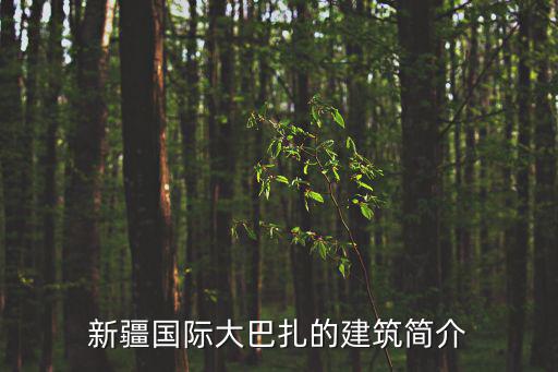 新疆國際大巴扎的建筑簡介
