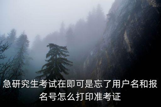 急研究生考試在即可是忘了用戶名和報名號怎么打印準考證