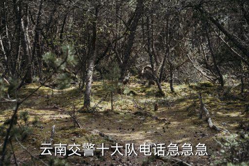 交警隊電話是多少，云南交警十大隊電話急急急