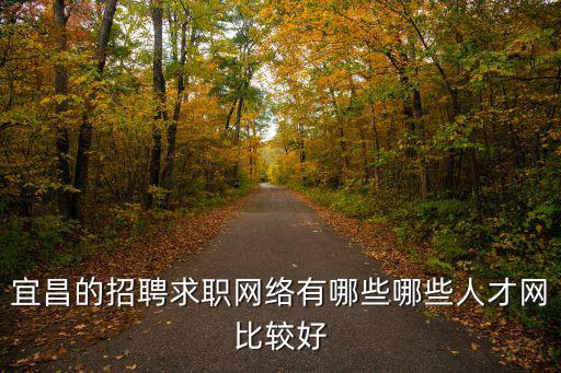 宜昌的招聘求職網絡有哪些哪些人才網比較好